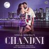 Chandni - Vishal Mishra